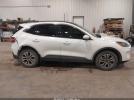Ford Escape Sel Image 4