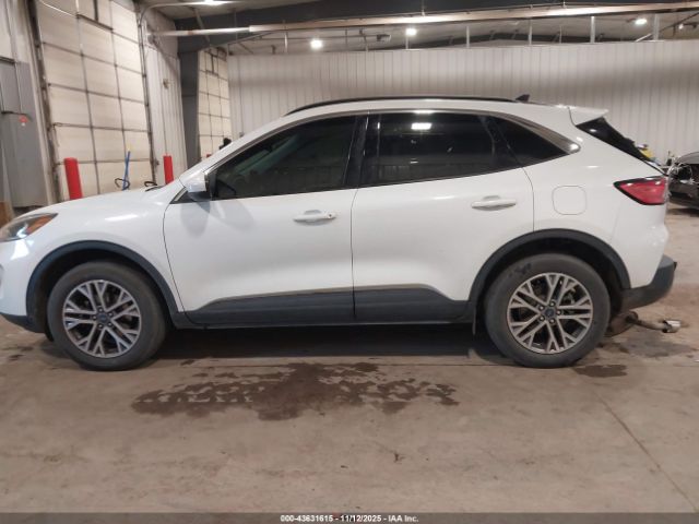 Ford Escape Sel Image 6