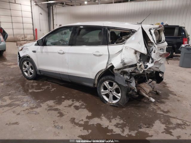 Ford Escape Se Image 5