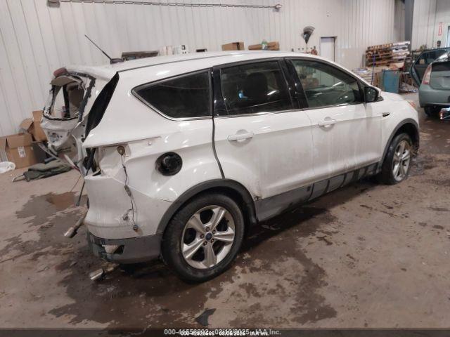 Ford Escape Se Image 6