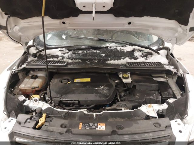 Ford Escape Se Image 3