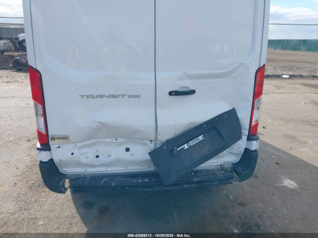 Ford Transit Image 6