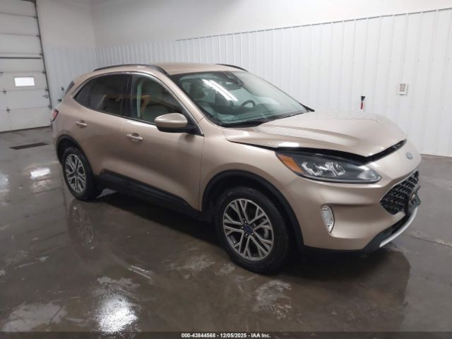 Ford Escape Sel Image 1