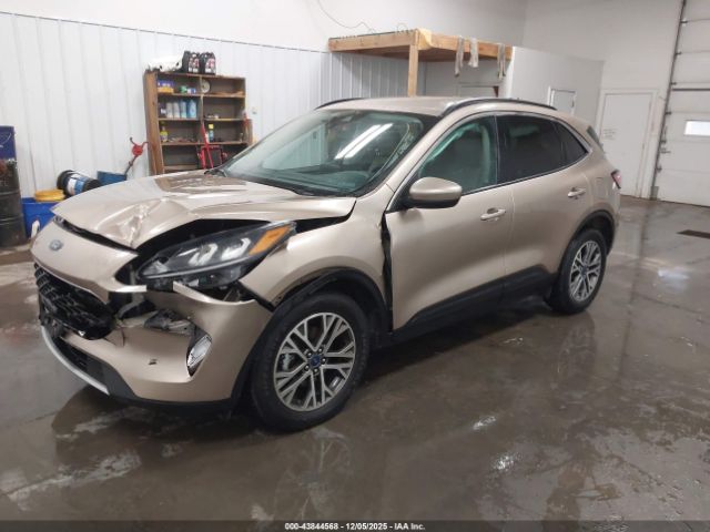 Ford Escape Sel Image 4