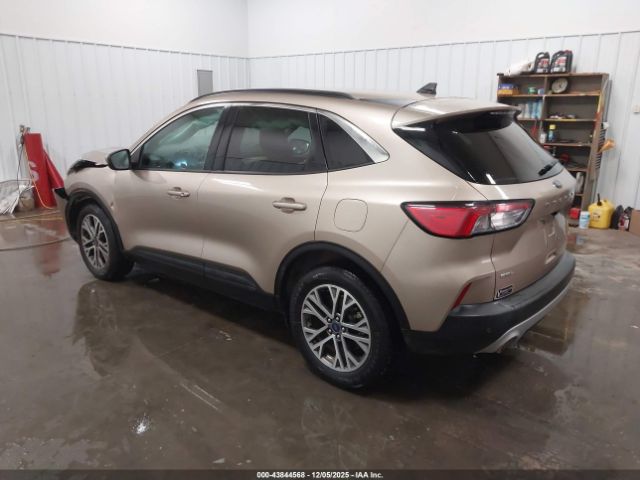 Ford Escape Sel Image 3