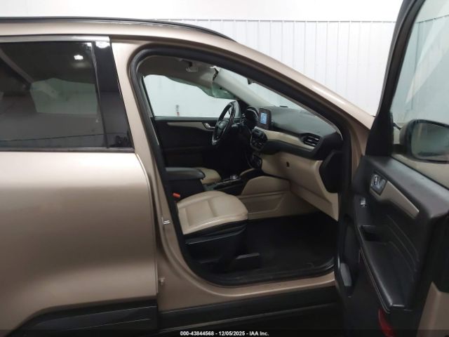 Ford Escape Sel Image 6