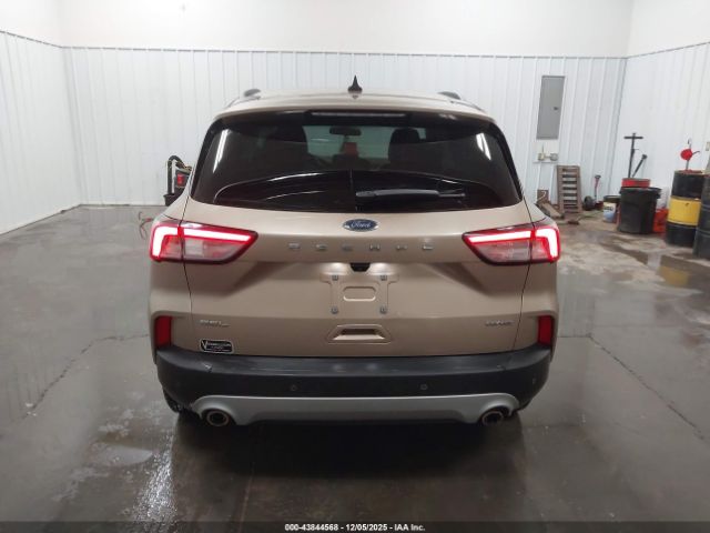 Ford Escape Sel Image 14